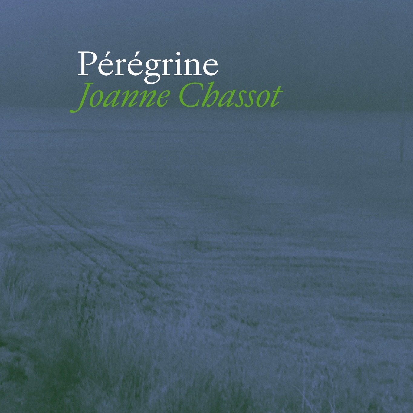 Découvrez nos parutions du mois d'août ! 2/3

Joanne Chassot - Pérégrine 

Pérégrine est le récit d’un voyage toujours changeant. Un pèlerinage le long de la Via Francigena, en quête d’un nouvel élan, puis la pandémie et le cancer qui révèlent une nouvelle géographie : celle d’une autre relation au corps, au temps, à soi et au monde.
Dans ce carnet de route poétique, Joanne Chassot consigne les fragments d’un quotidien bouleversé. Sans pathos ni lyrisme, elle saisit une expérience où se mêlent douleur et émerveillement, humour et angoisse, détails ordinaires et méditations existentielles.

Vernissage le jeudi 27 août à 18h
La Cour de l’avenir 
Place Robin, Rue de Fribourg 11, 1800 Vevey

#editionsdelaire  #rentréelittéraire  #litteraturesuisse