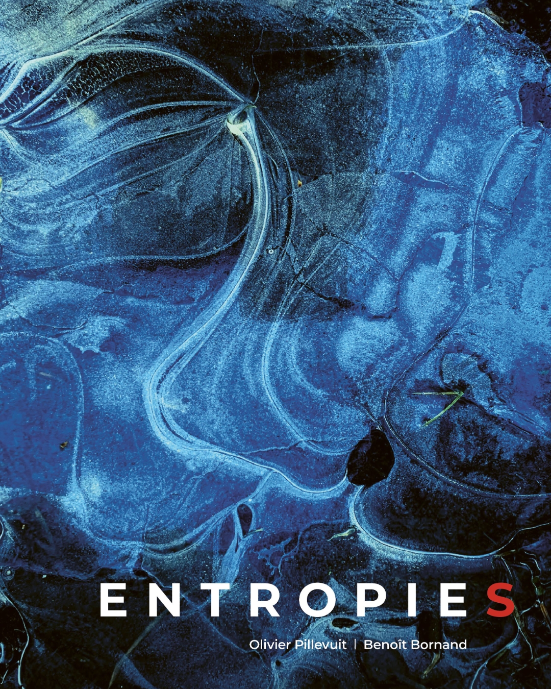 Découvrez nos parutions du mois de novembre ! 2/2

Entropie(s) – Olivier Pillevuit et Benoît Bornand

Au gré de ses promenades hivernales, le graphiste et photographe amateur Benoît Bornand a progressivement délaissé les paysages pour s’intéresser aux bords de chemins. Il en a saisi les textures singulières et éphémères, faites de boue, de glace et de débris. On voit dans ses photographies le temps et la nature se déployer ; l’ordre et le désordre composent des formes qui évoquent des structures microscopiques et cosmiques. Ce brouillage des ordres de grandeur trouve dans les textes d’Olivier Pillevuit la pleine expression de son potentiel poétique : attribuant quelques vers à chaque image, il complète l’exploration visuelle d’Entropie(s) en traçant, sur la même matière, de nouvelles voies.

Le médecin poète Olivier Pillevuit s’est éteint le 10 septembre 2026. Cet ouvrage, qu’il avait rêvé et conçu aux côtés de son ami graphiste et photographe amateur Benoît Bornand, lui rend hommage.