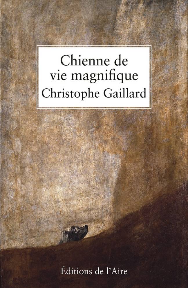 Chienne de vie magnifique