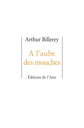 A l'aube des mouches