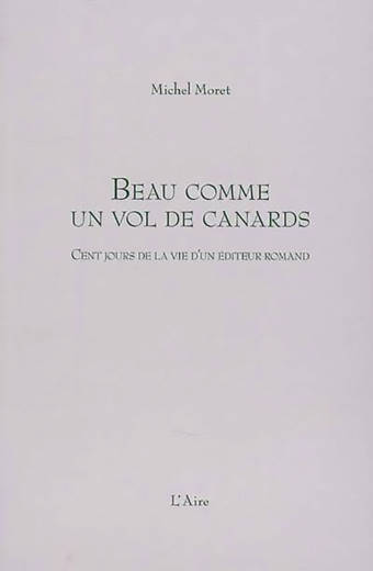 Beau comme un vol de canards