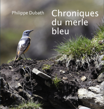 Chroniques du merle bleu