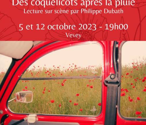 Des coquelicots après la pluie